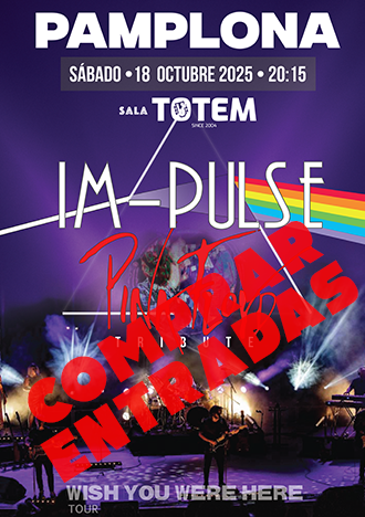 Concierto Pink Floyd Tributo Impulse