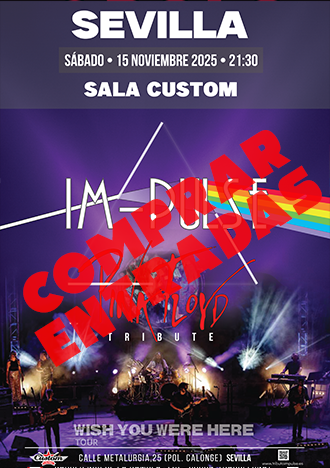 Concierto Pink Floyd Tributo Impulse